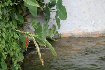 IMG_0422.jpg