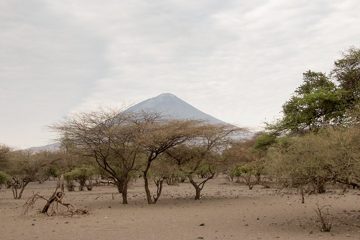 IMG_6833
