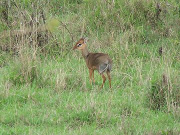 100_1423.jpg