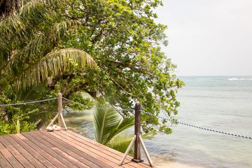 IMG_5335