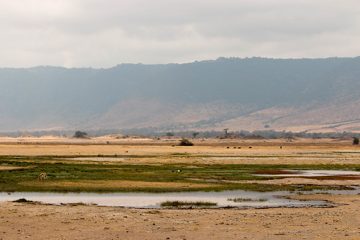 IMG_6231