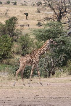 IMG_7602