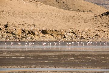 IMG_6896