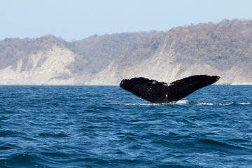 27022012-216.jpg
