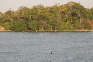 IMG_5187