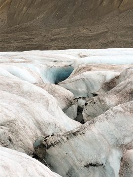 IMG_1268