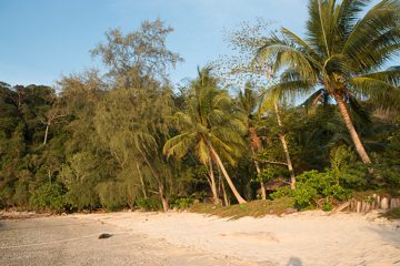 IMG_9616