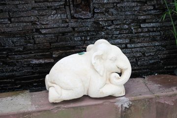 IMG_0705.jpg