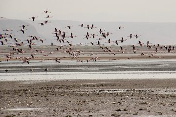 IMG_6901