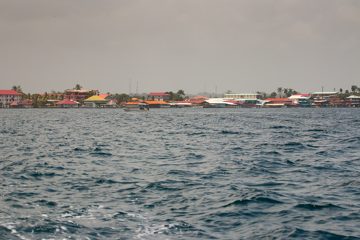IMG_5316