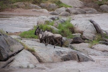 P-IMG_6683-2