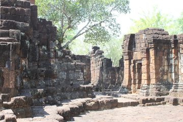 IMG_0623.jpg