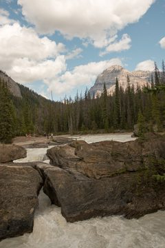 IMG_0518