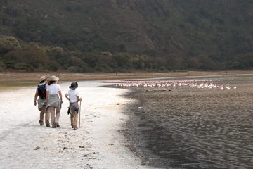 IMG_6553