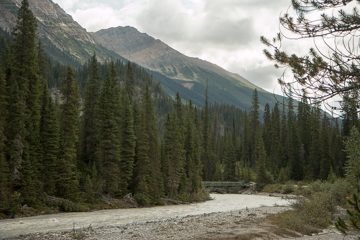 IMG_0484