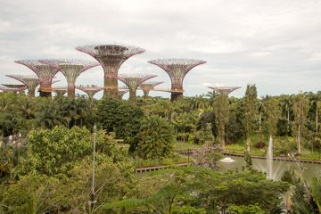 IMG_9752