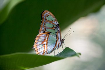 19022012-40.jpg