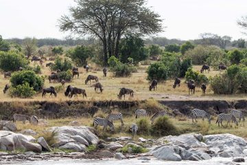 IMG_7561