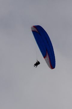 14082013-262.jpg