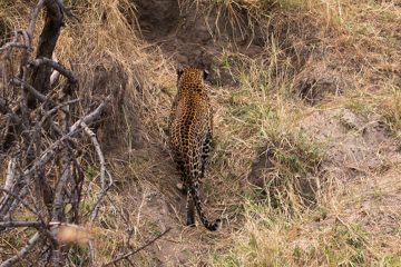 IMG_7125