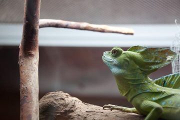 25022012-64.jpg