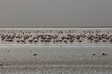 IMG_6905