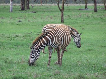 100_1396.jpg