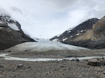 IMG_1264