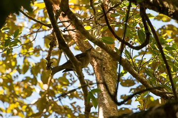 IMG_8655